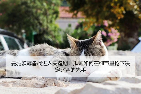 曼城欧冠备战进入关键期，瓜帅如何在细节里抢下决定比赛的先手