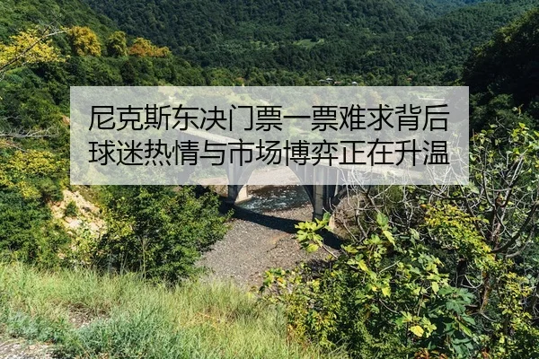 ni-ke-si-dong-jue-men-piao-yi-piao-nan-qiu-bei-hou-qiu-mi-re-qing-yu-shi-chang-bo-yi-zheng-zai-sheng-wen-3-489.jpg